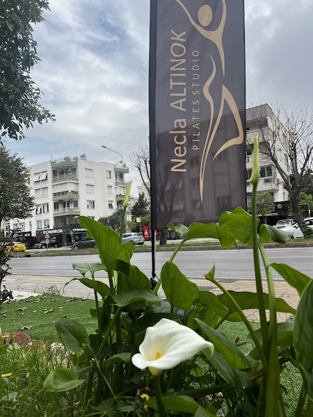 Necla Altınok Pilates Studio