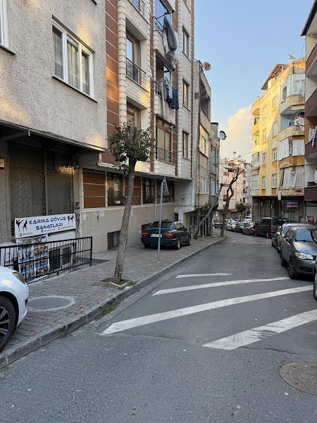 Karma Dövüş Sanatları