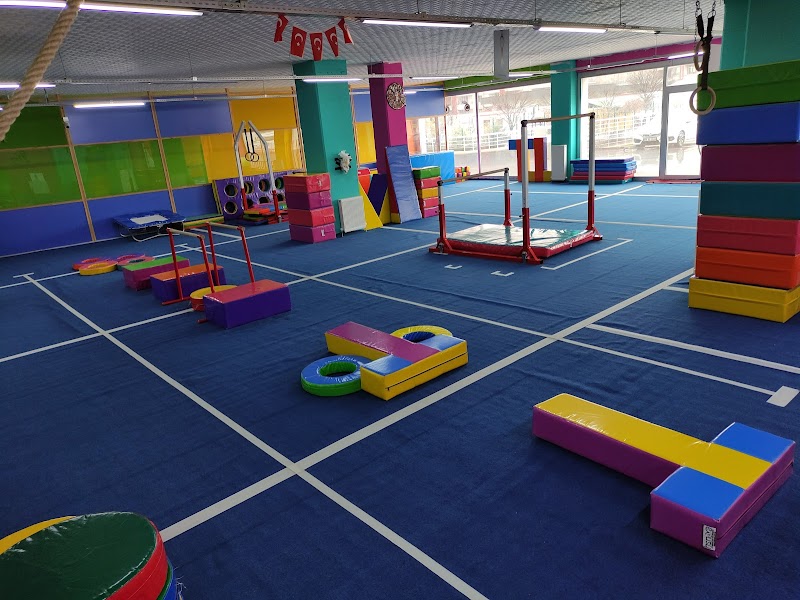 Olimpik Akademi