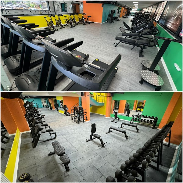 Machina Gym