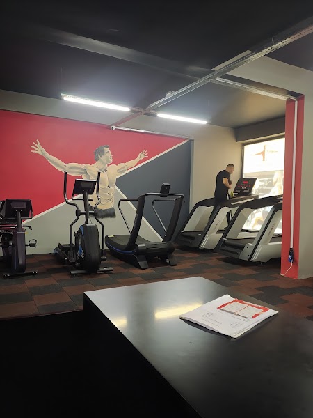 Anatomy Fitness & boxing