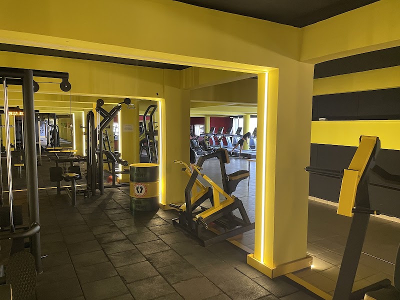 Cross Army, Gym