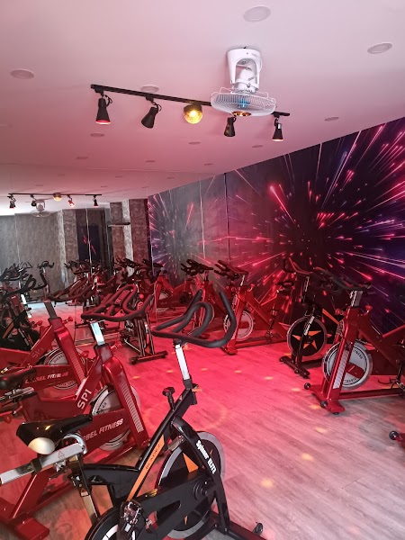 Attraction Fitness