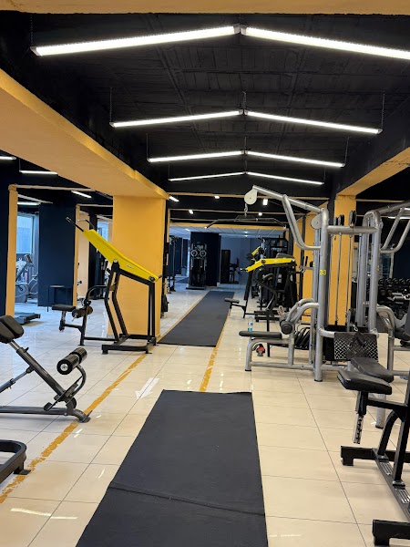 Black Bull GYM & Fitness