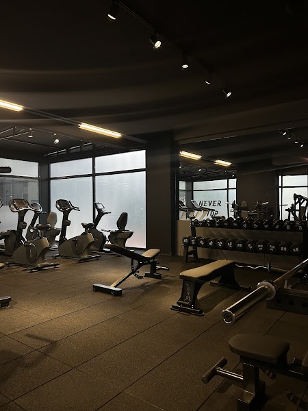 YZC GYM