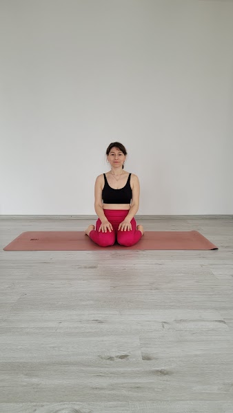 Gaja Yoga Ereğli
