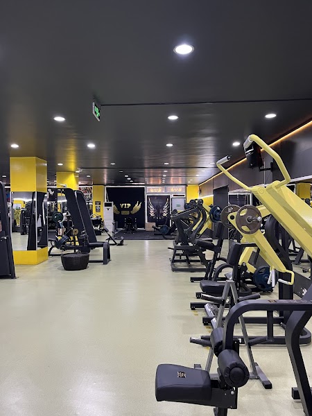 Vip Athletic Club