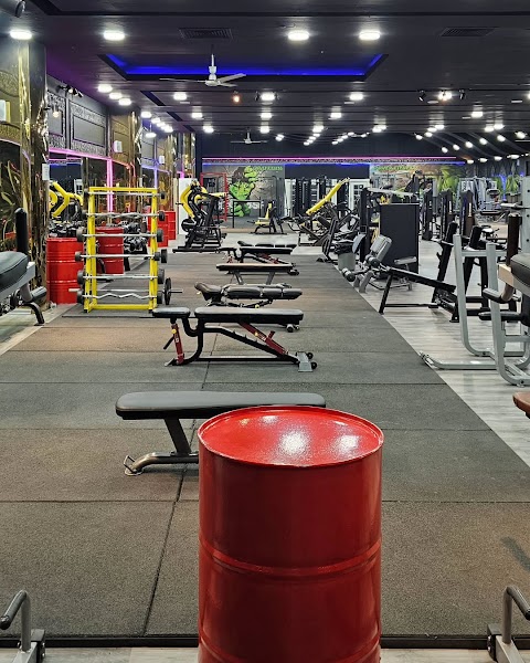 Power Fitness
