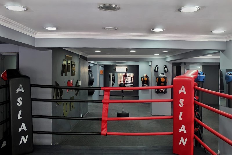 Aslan boks kulübü