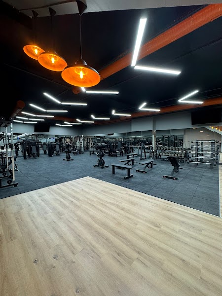 FITCLUB PLUS FITNESS-GYM - KICK BOKS- REFORMER-FONKSİYONEL ANTRENAN
