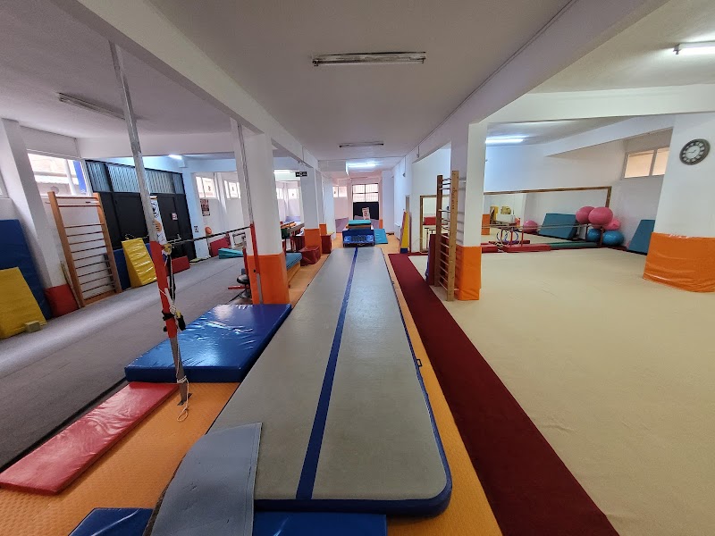 Avrupa Spor Cimnastik