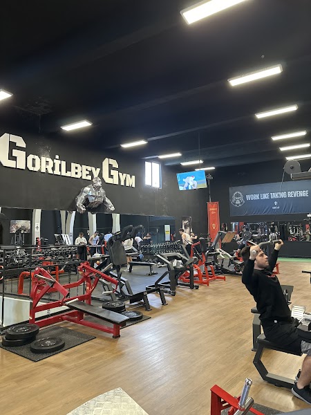 Gorilbey Gym Tunalı Esat
