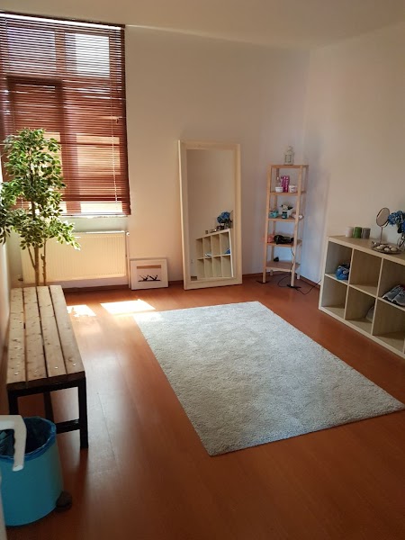 Stylelife Pilates-4.Levent Aletli Pilates Stüdyo