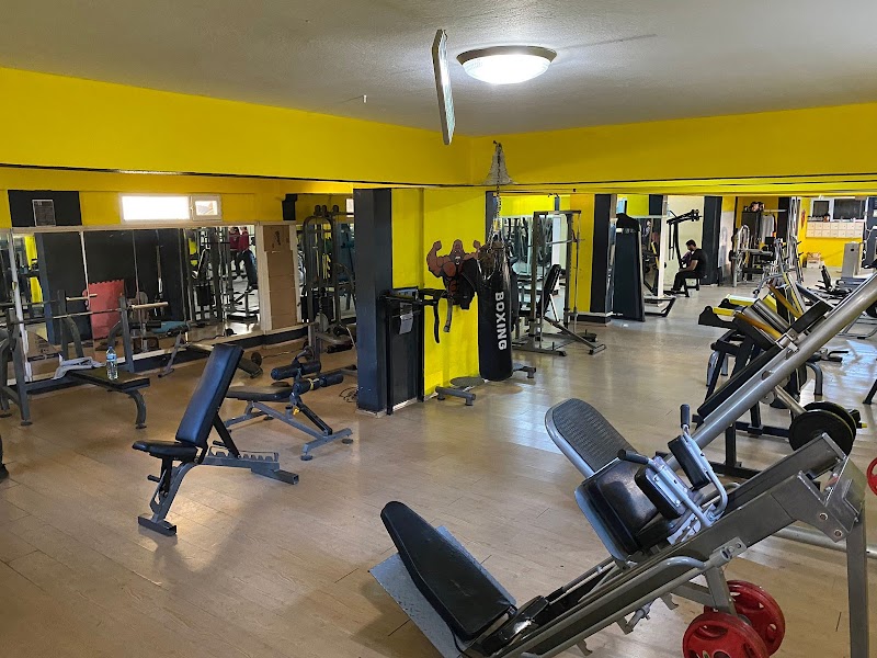 Zinde Yaşam Spor Merkezi