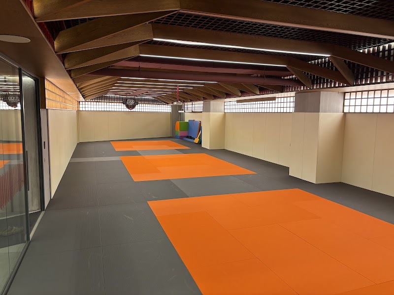 Checkmat judo Academy kozyatağı
