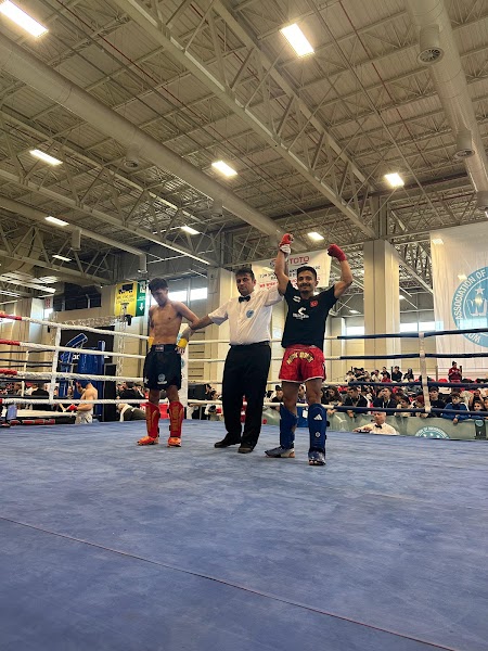 Tigers Fight Club