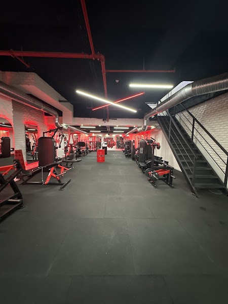 Level Up Gymzone