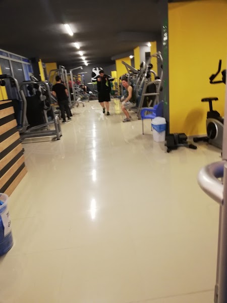 Bestfit
