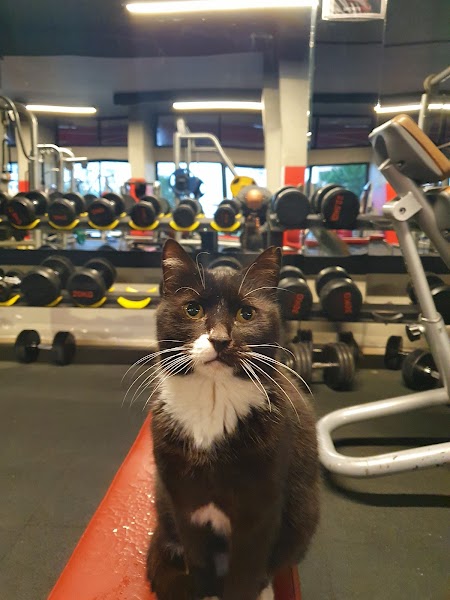 Sportsbox Fitness Club