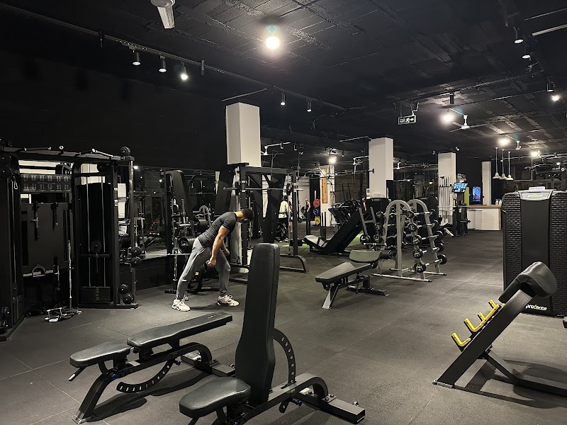 Limitless Training Club