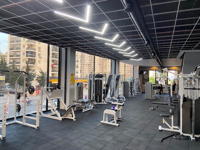GYM GUARD FITNESS