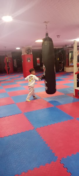 Şampiyonlar Spor Kulübü