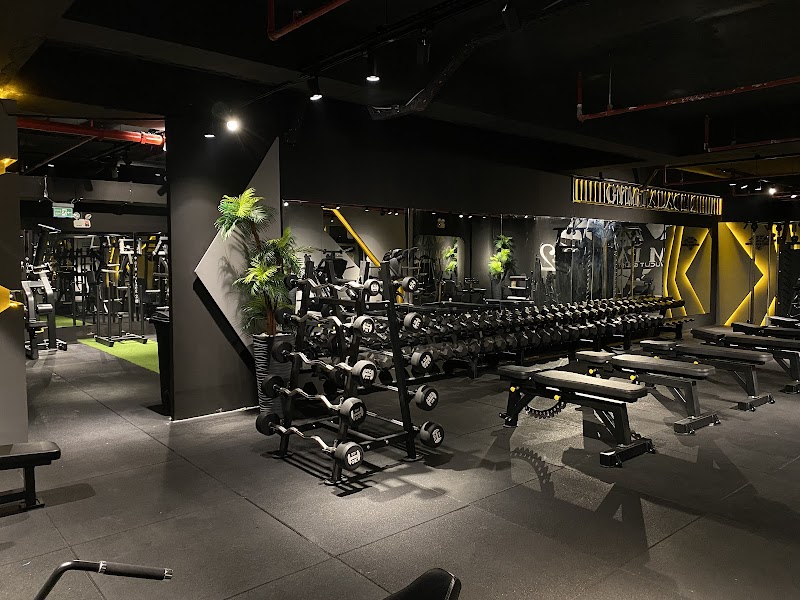 GYM Palace 2