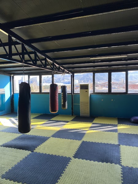 WM GYM