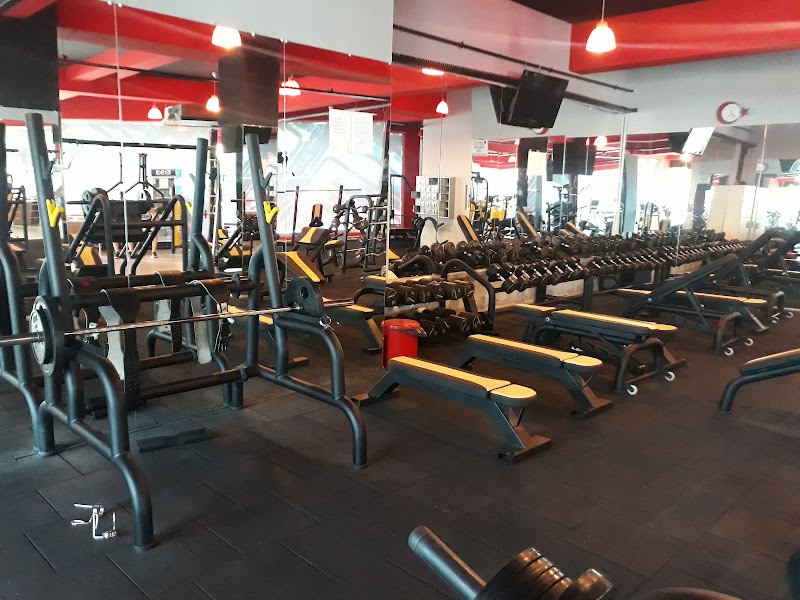 Milfit 2 Spor Salonu