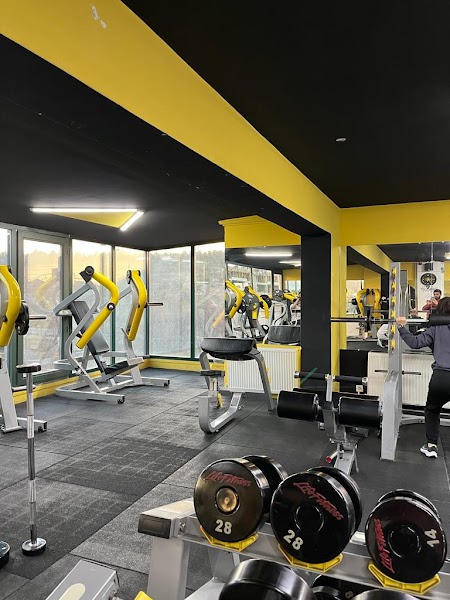 Form Life Fitness Spor Salonu