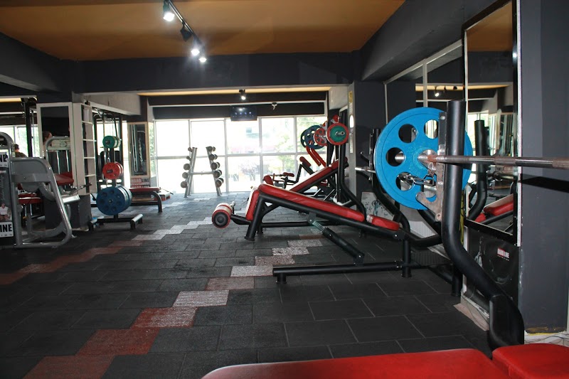 Düzce Spor Salonu - Goldfit 81 Fitness Salonu