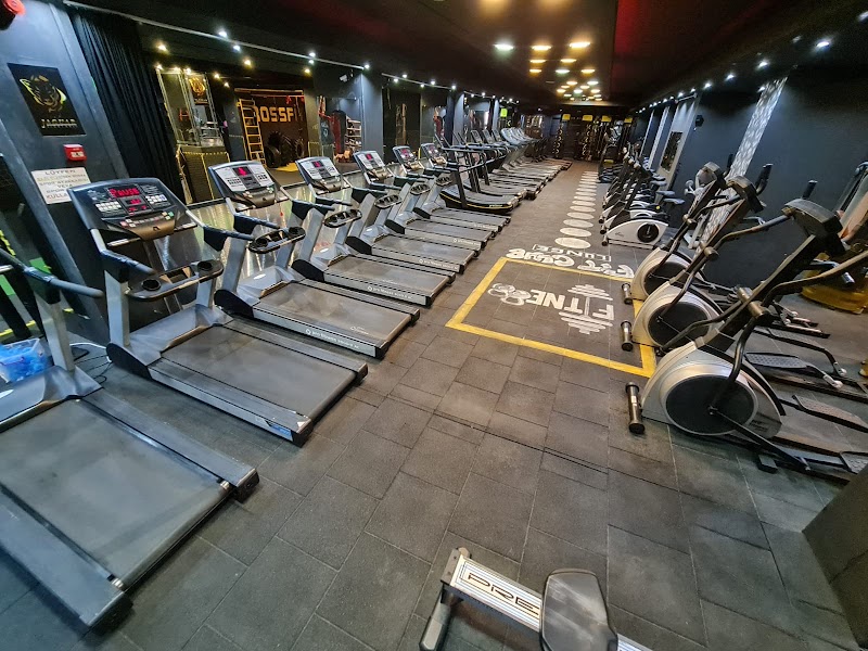 Jaguar fitness