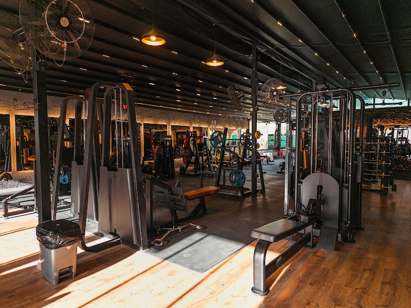 VIP TRAINING CLUB FITNESS
